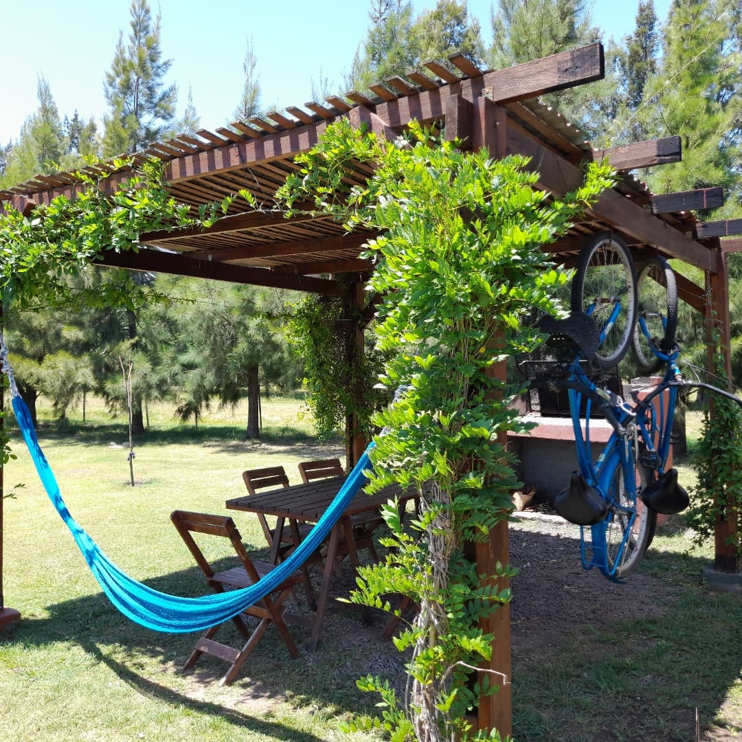 Vista exterior de la cabaña alpina rodeada de árboles