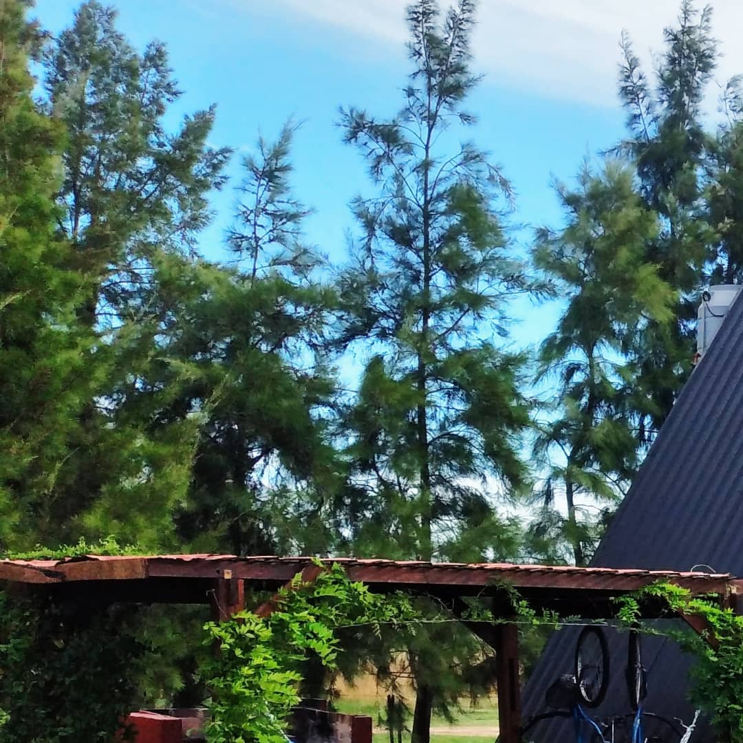Piscina privada de la cabaña al atardecer